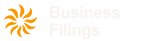 SMN Web Services Business Filings
